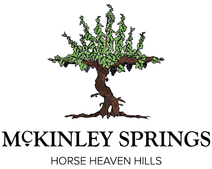 mckinley springs logo vertical web color