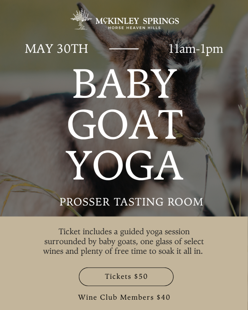 baby-goat-yoga