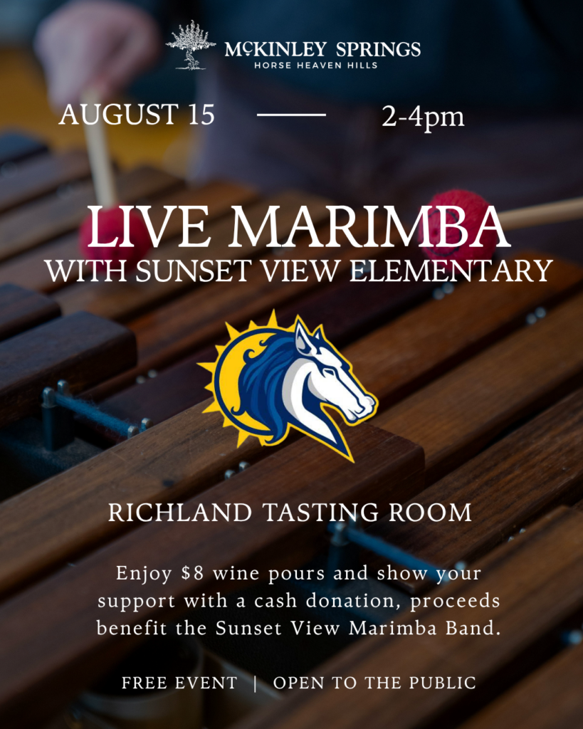 live marimba with sunset view elementary