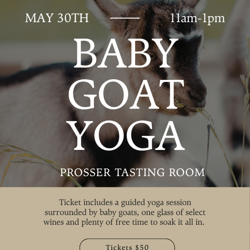baby-goat-yoga